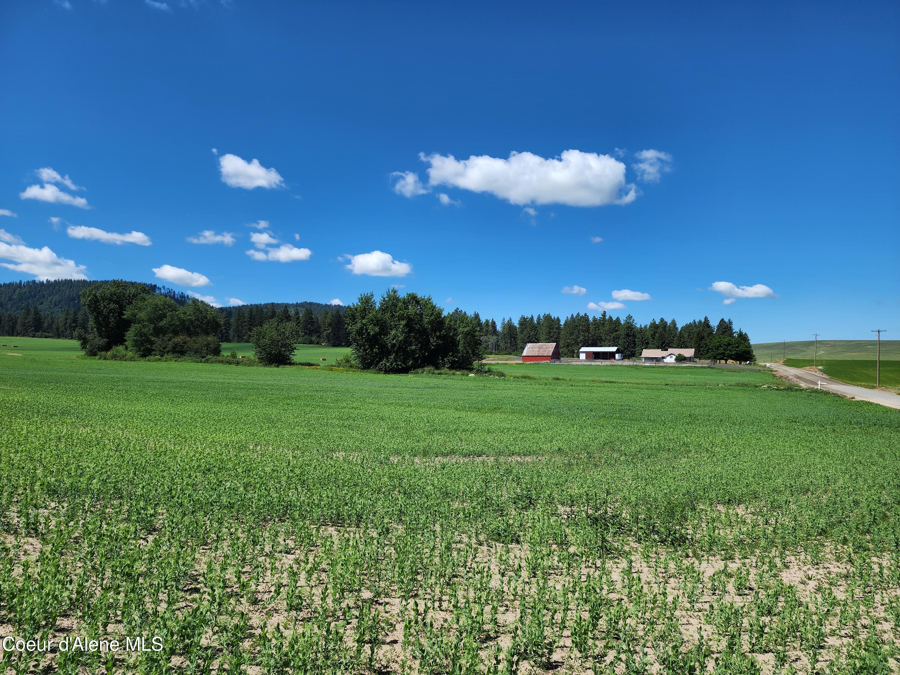 Nkaparcel2 Desmet Road Desmet, ID 83824 - Photo 20 of 45 Desmet Rd