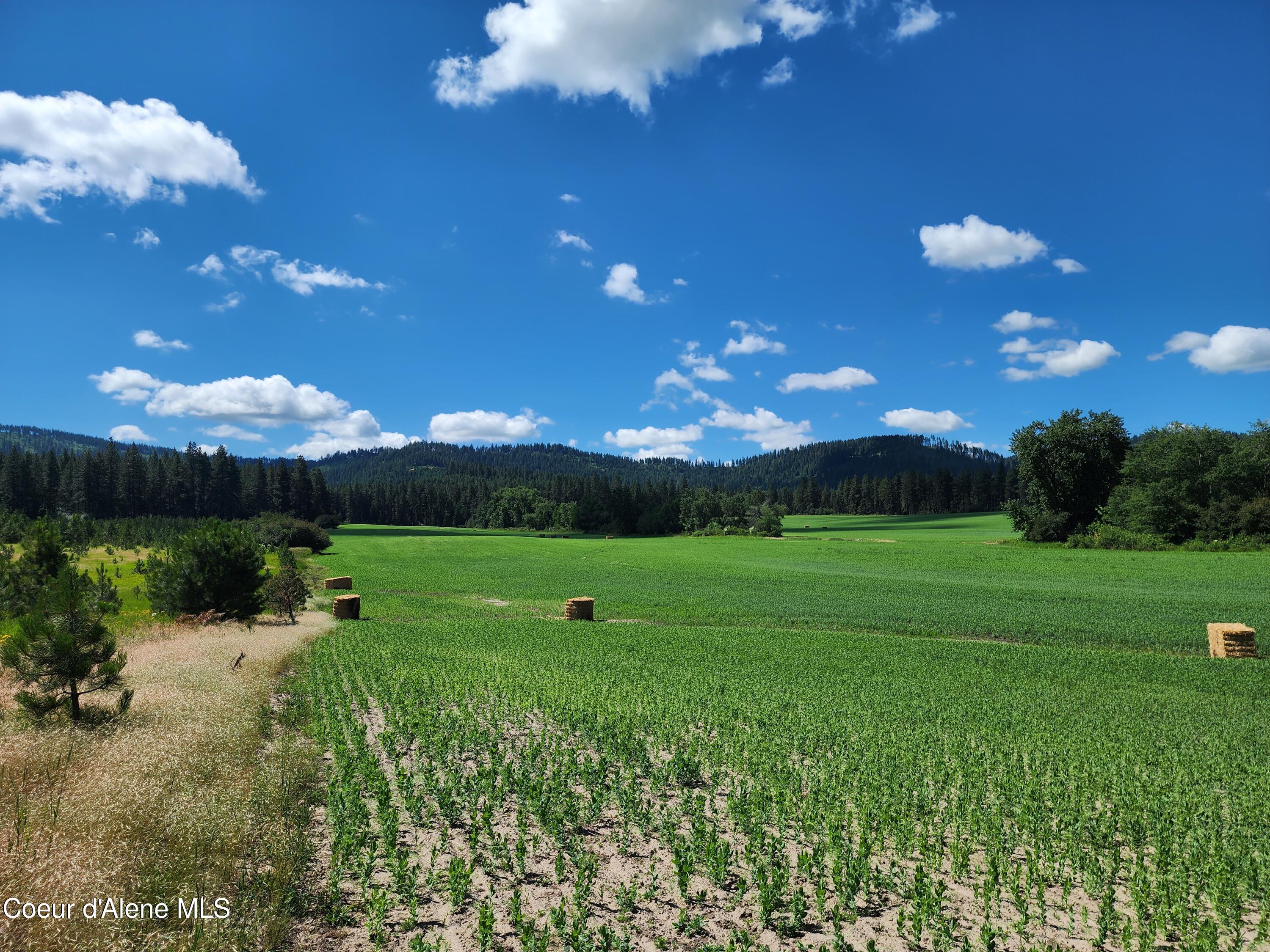 Nkaparcel2 Desmet Road Desmet, ID 83824 - Photo 21 of 45 Desmet Rd