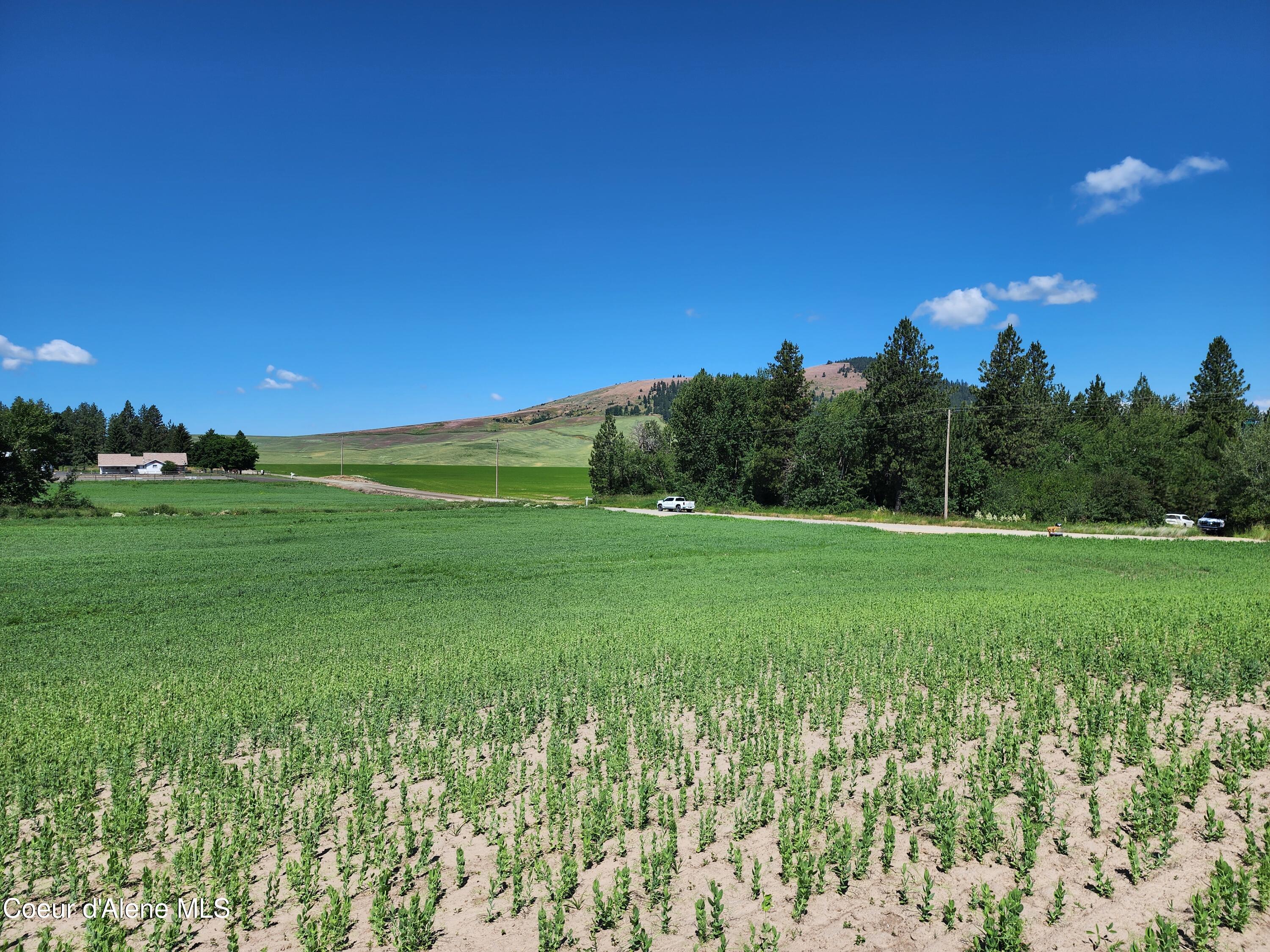Nkaparcel2 Desmet Road Desmet, ID 83824 - Photo 25 of 45 Desmet Rd