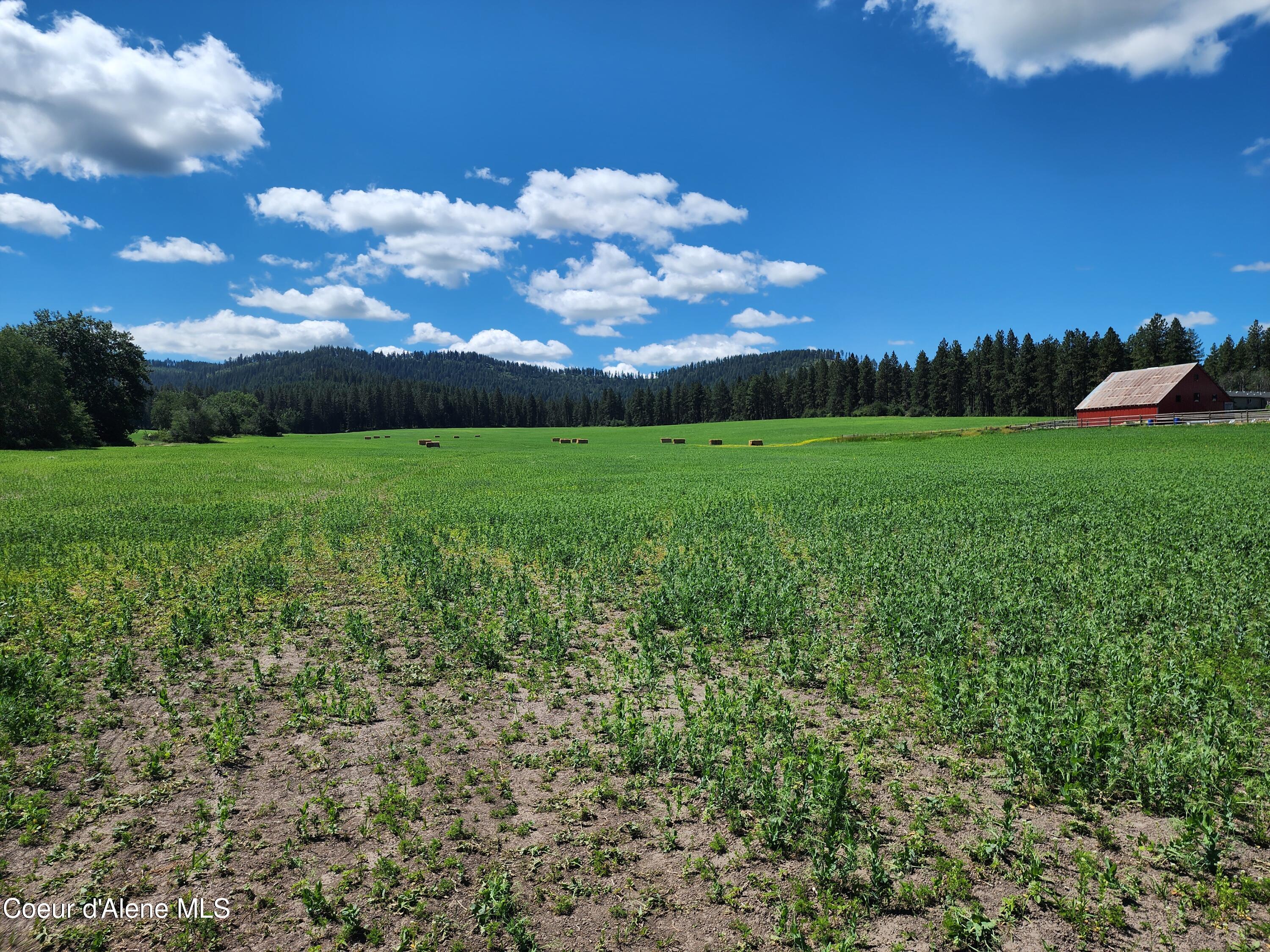 Nkaparcel2 Desmet Road Desmet, ID 83824 - Photo 26 of 45 Desmet Rd