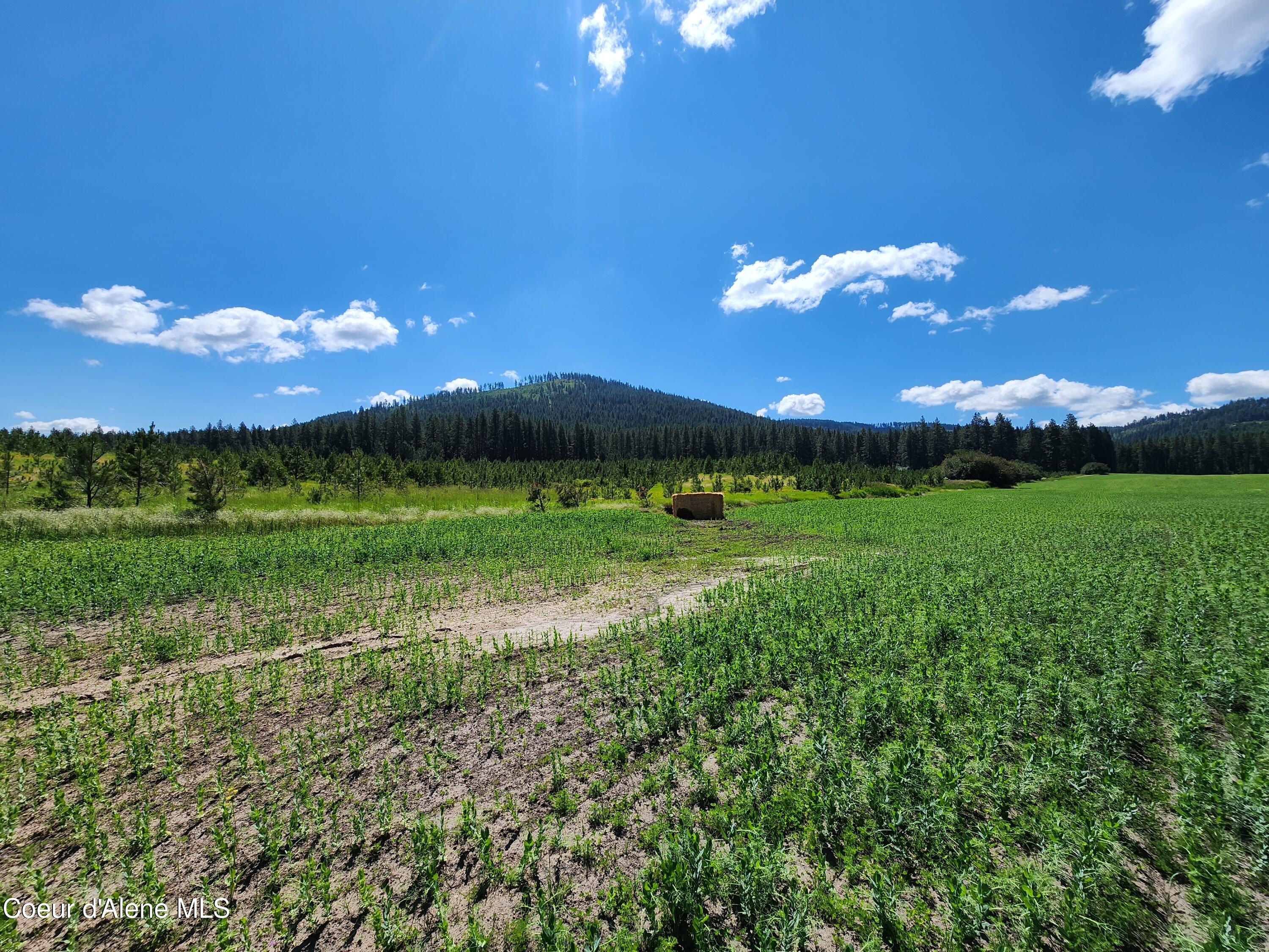 Nkaparcel2 Desmet Road Desmet, ID 83824 - Photo 31 of 45 Desmet Rd