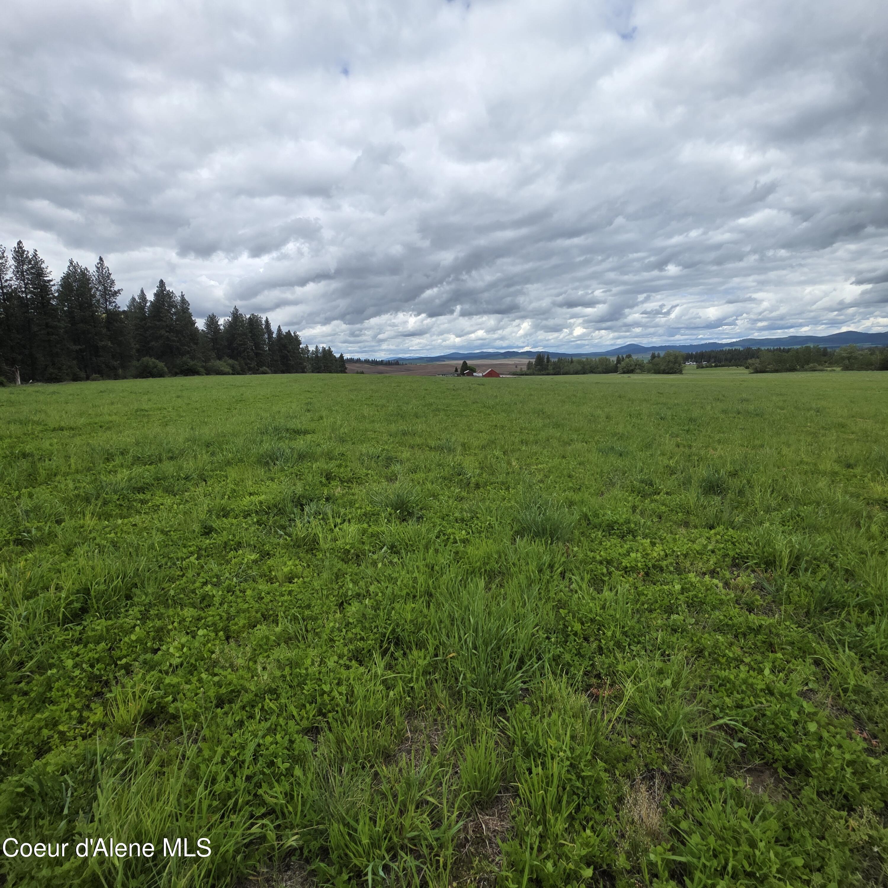 Nkaparcel2 Desmet Road Desmet, ID 83824 - Photo 41 of 45 20260514_143547