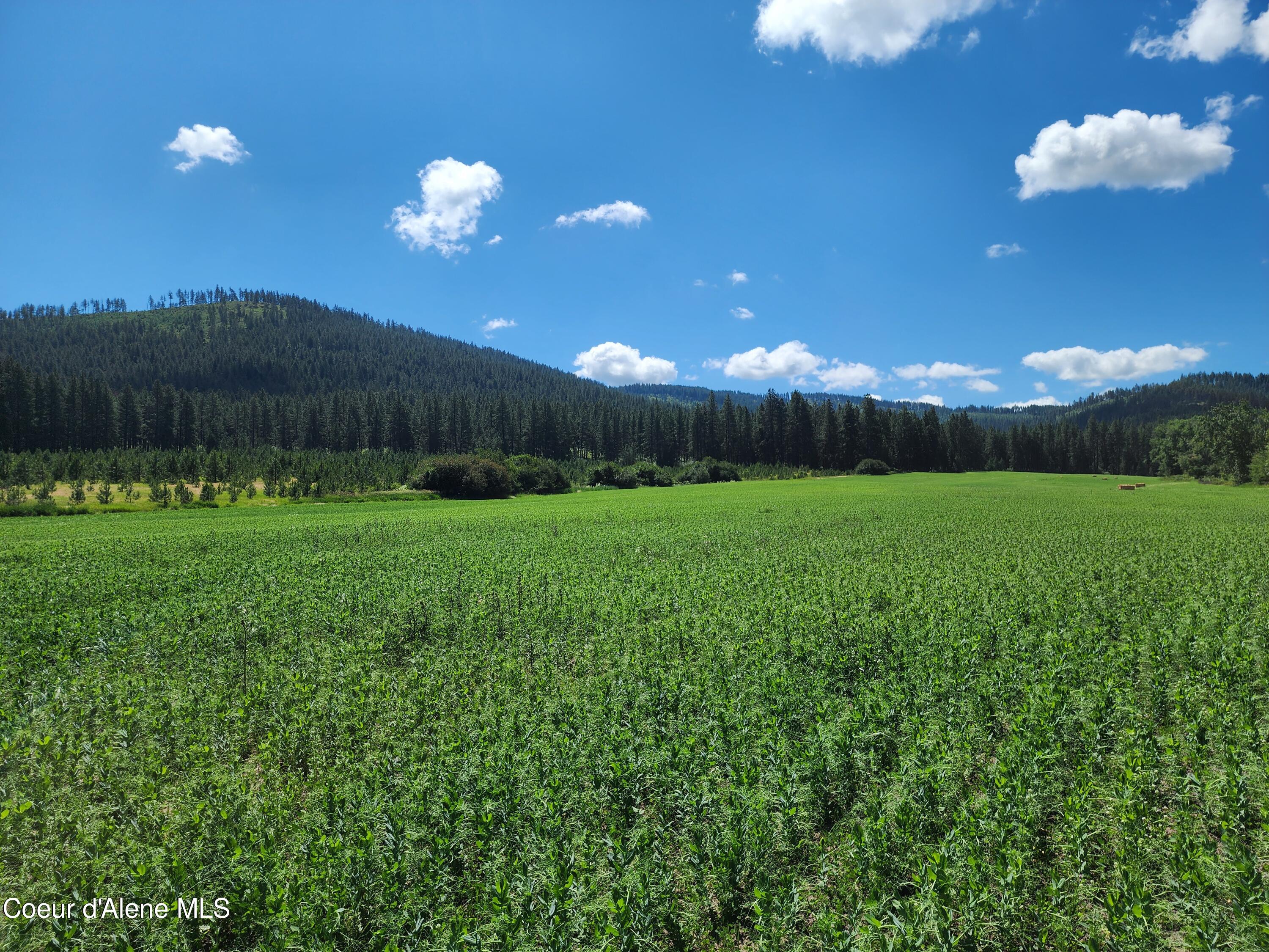 Nkaparcel2 Desmet Road Desmet, ID 83824 - Photo 7 of 45 Desmet Rd