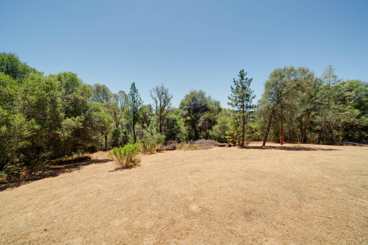 7071 Bayne Road Placerville, CA 95667 - Photo 46 of 61