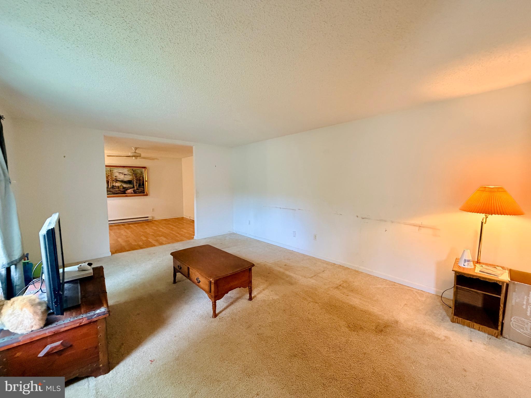 17878 Mahonia Road Lincoln, DE 19960 - Photo 13 of 26 Living room