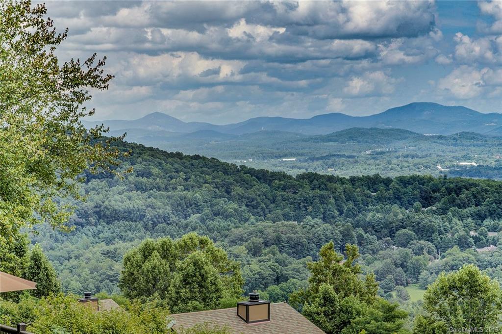 153 Country Ridge Road, Unit 153 Hendersonville, NC 28739 - Photo 3 of 25