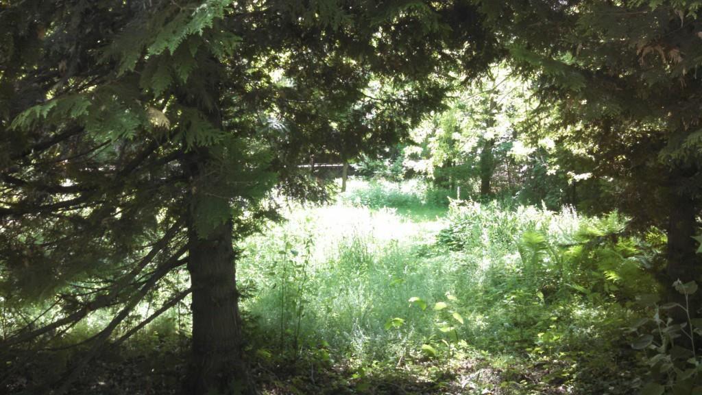 0 Hillside Road Orono, ME 04473 - Photo 5 of 5 Photo