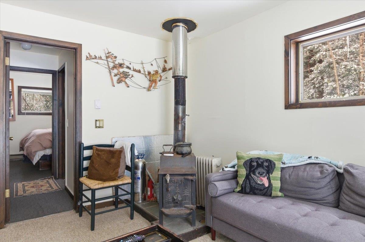 3185 Higley Hill Road Marlboro, VT 05363 - Photo 29 of 60