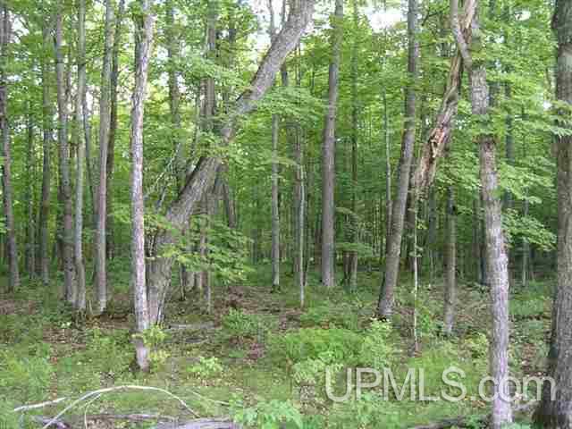 Tbd Gold Canyon Road Pelkie, MI 49958 - Photo 7 of 9