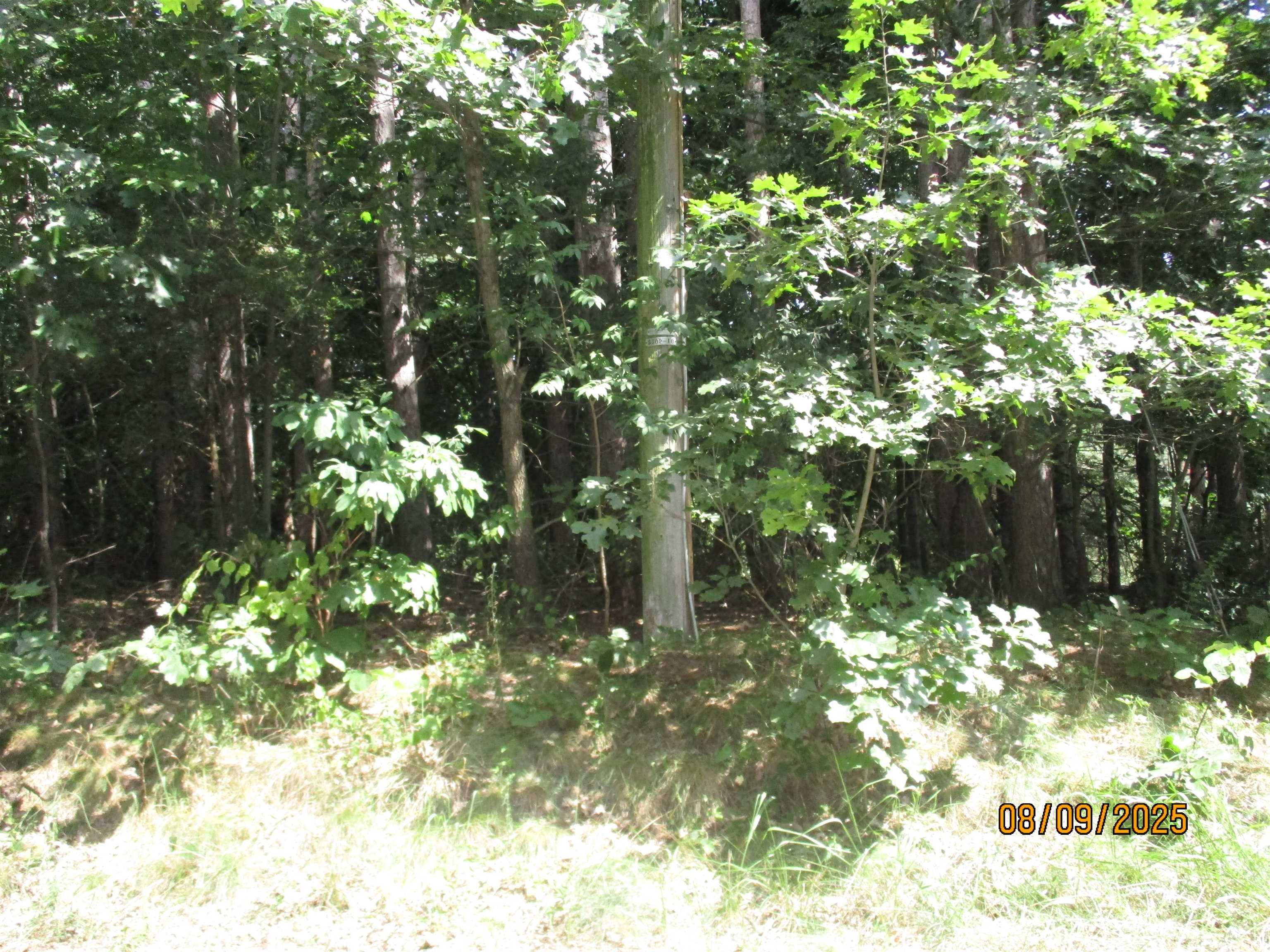 51772 Currant Road Granger, IN 46530 - Photo 6 of 19