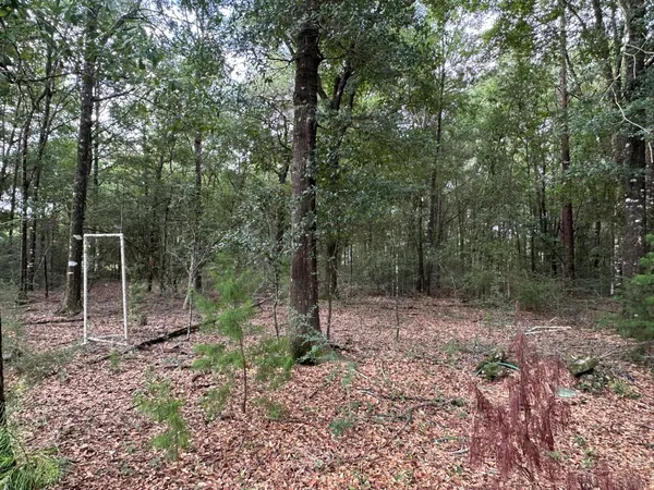 $599,900 | 5800-block Pineforest Drive, Crestview, FL 32539