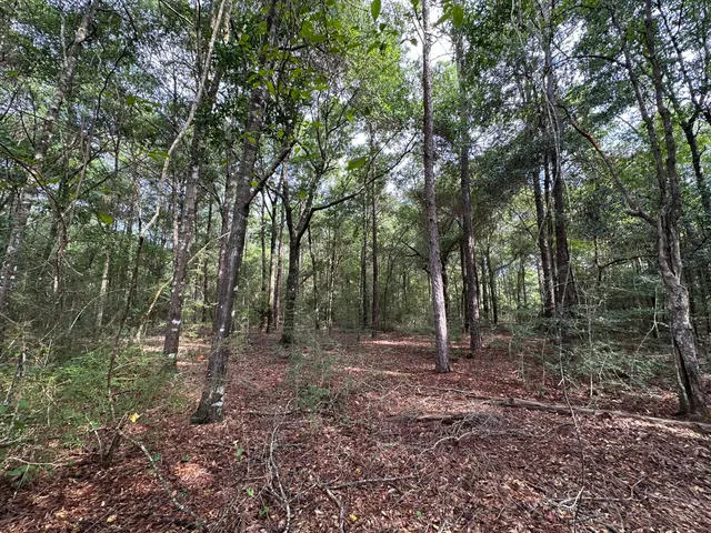 $599,900 | 5800-block Pineforest Drive, Crestview, FL 32539