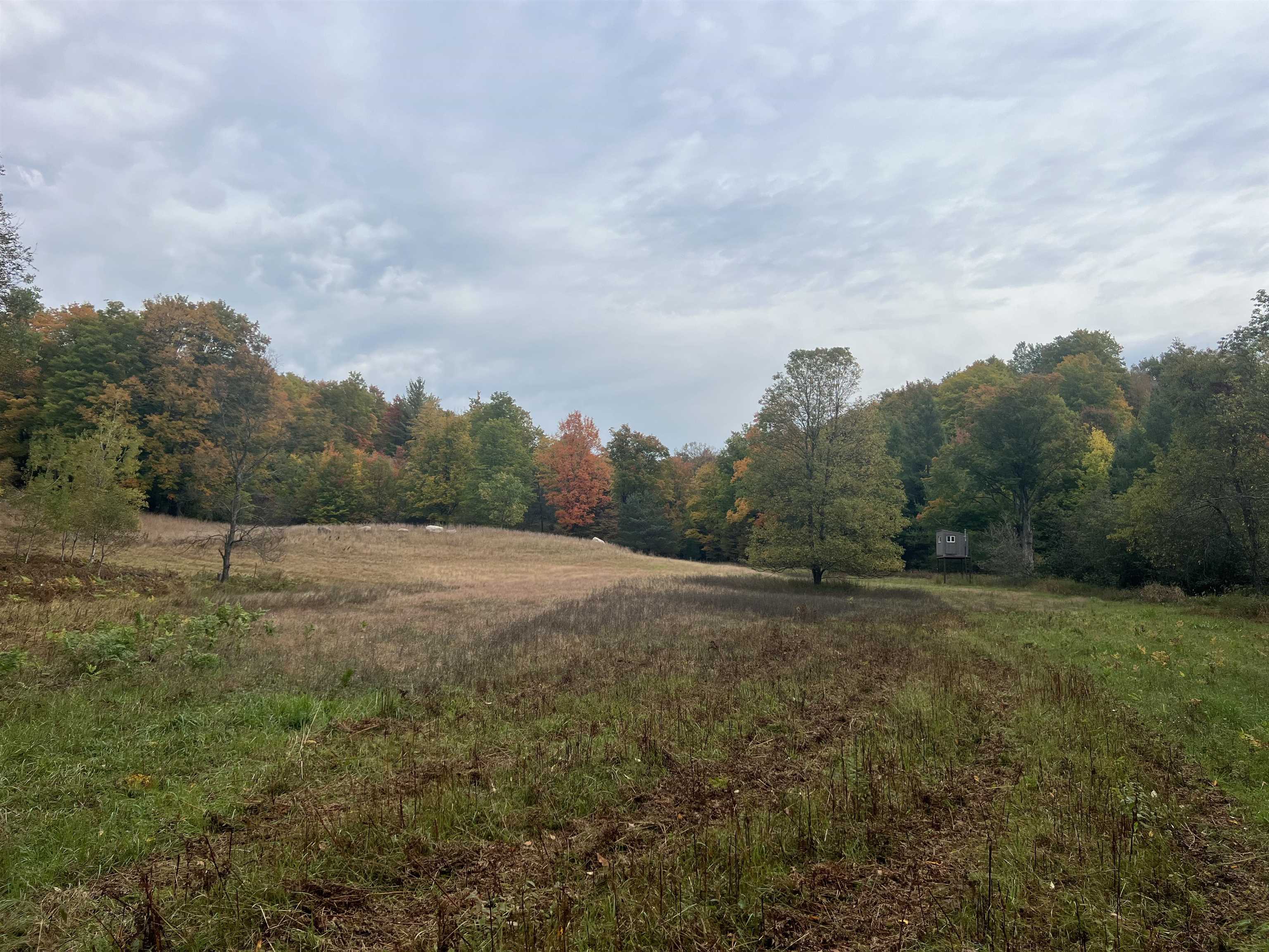 90 A Ridgeview Drive Kalkaska, MI 49646 - Photo 48 of 75
