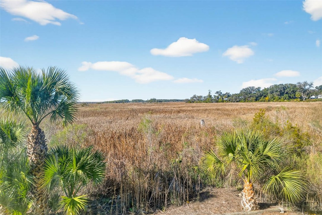 91 Screven Street Darien, GA 31305 - Photo 19 of 55 Another wonderful view - primary suite bathroom