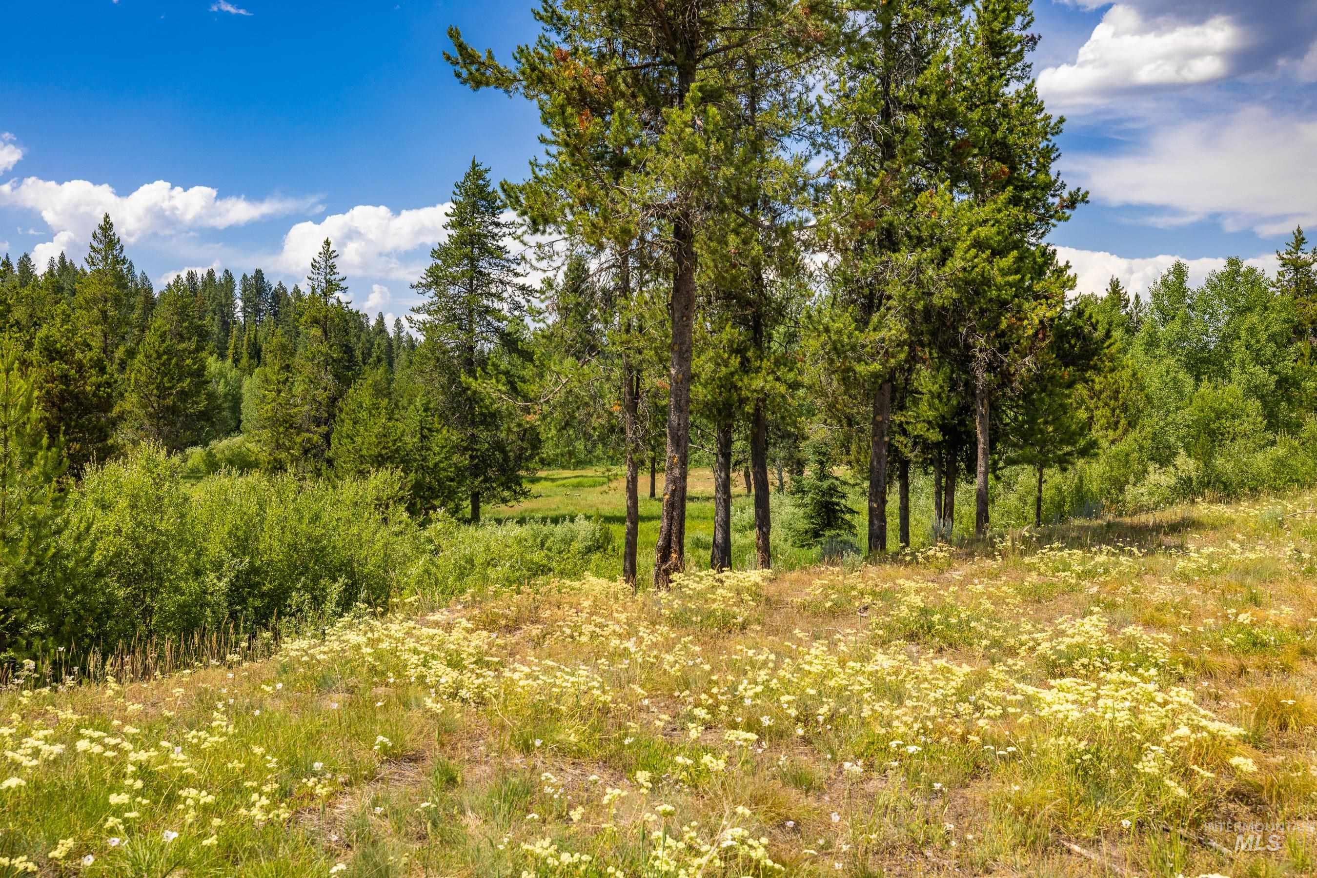 Lot 60 River Ranch McCall, ID 83638 - Photo 5 of 20 View of tree filled area
