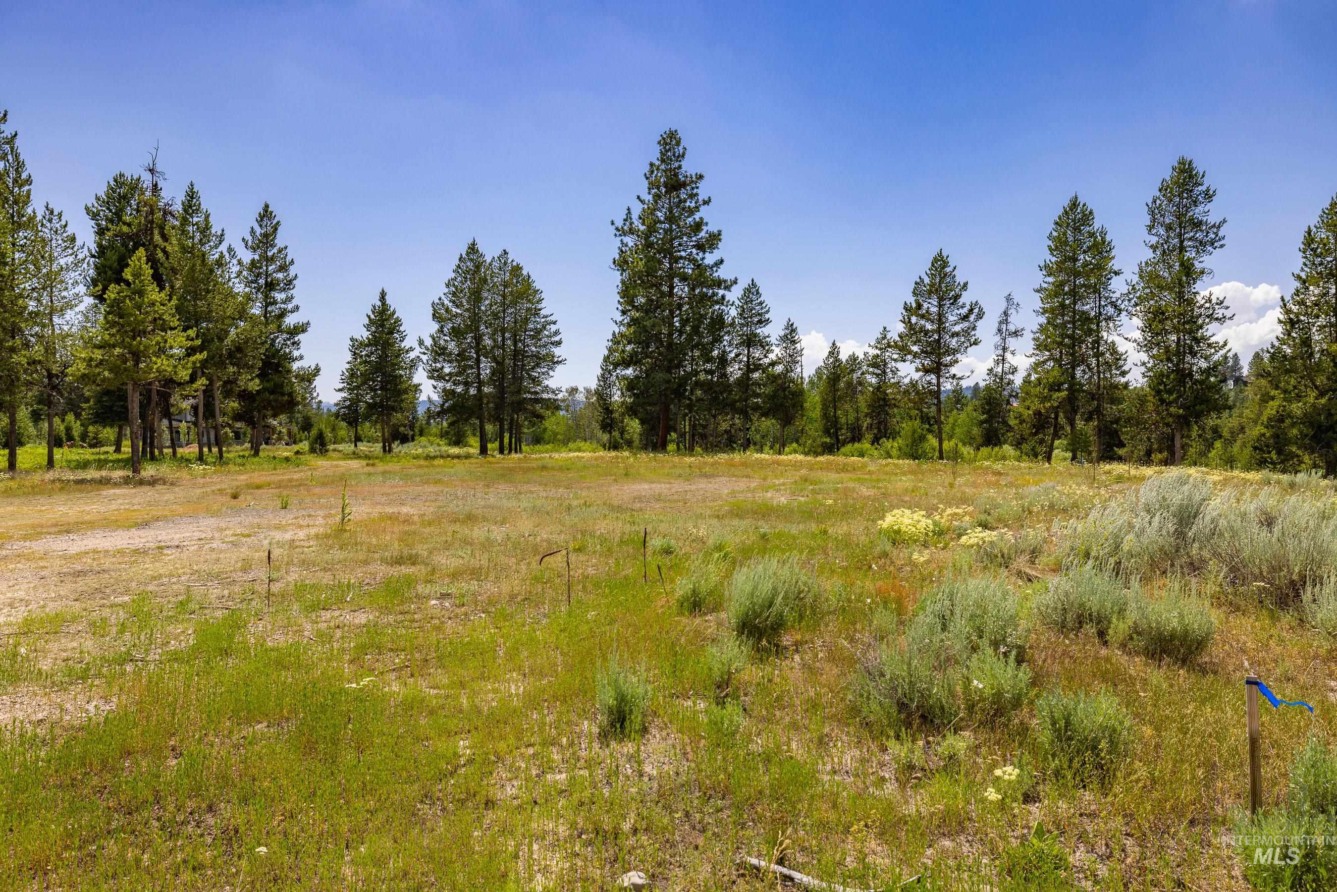 Lot 60 River Ranch McCall, ID 83638 - Photo 6 of 20 View of undeveloped land