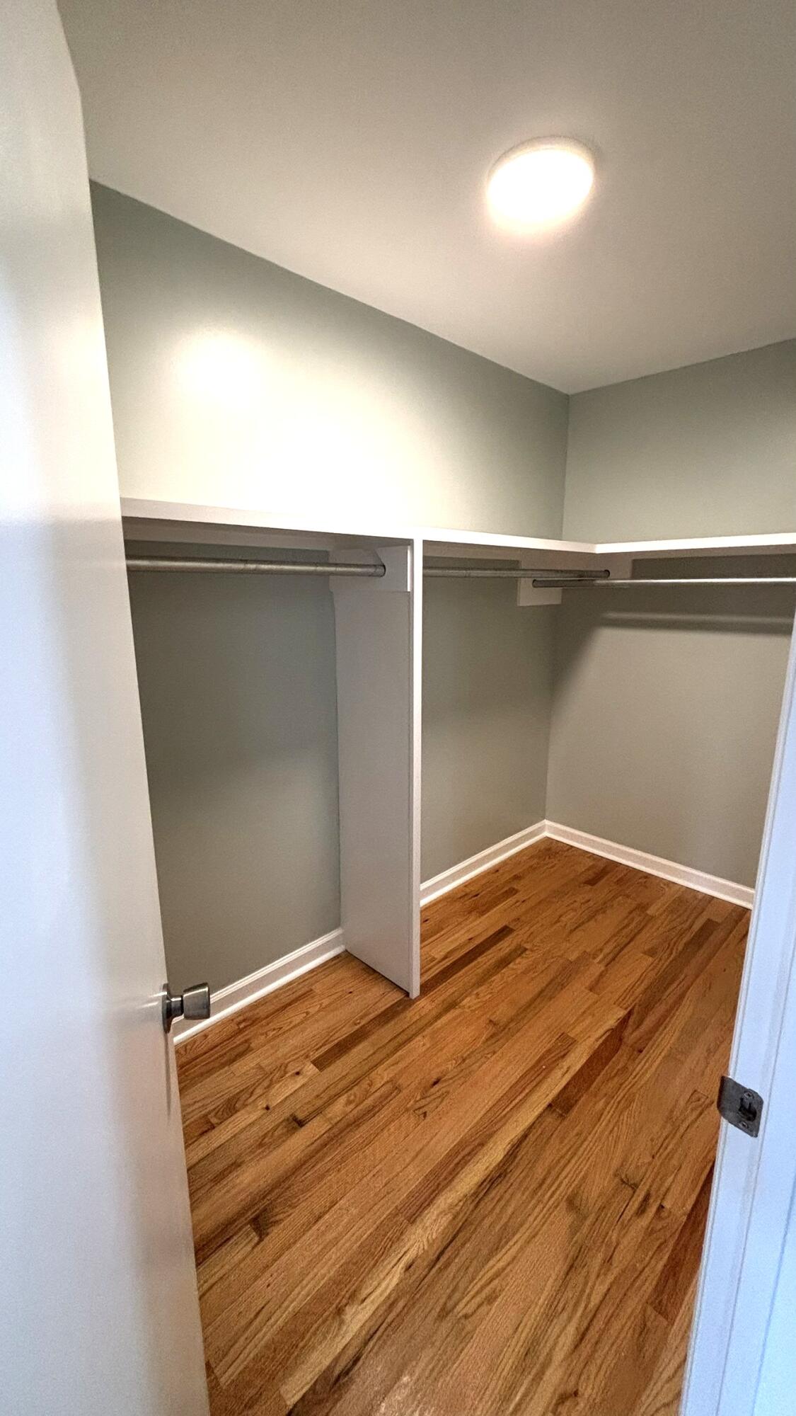 421 River Drive Rowesville, SC 29133 - Photo 21 of 26 Walk-in Closet