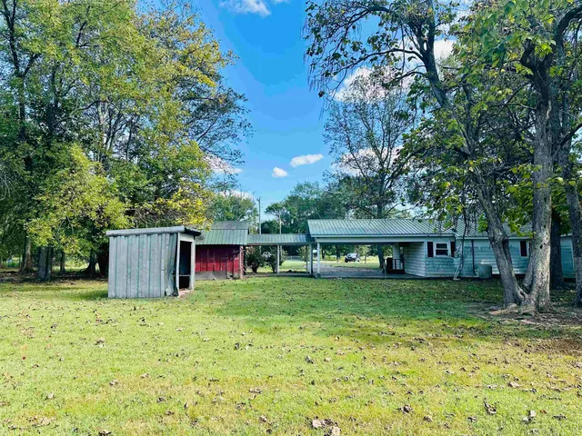 a view of a yard with a tree