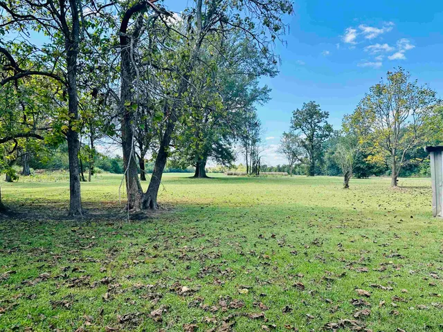 a view of a garden with a tree