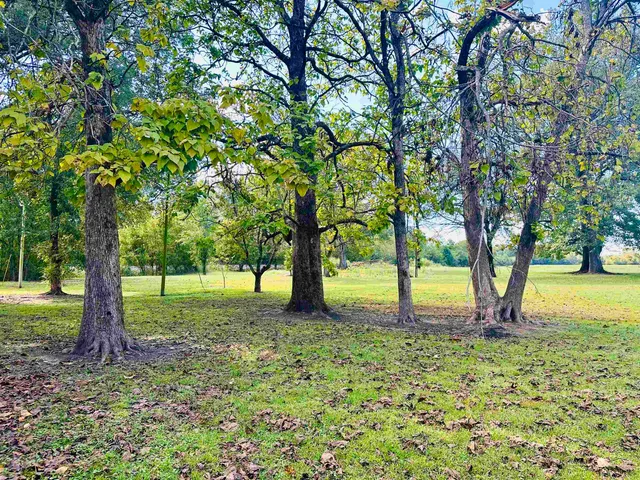 a view of swimming pool and trees in the background