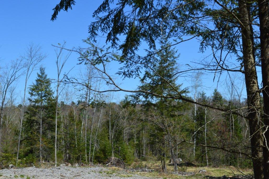 205 Academy Road Monmouth, ME 04259 - Photo 1 of 16 DSC_0033