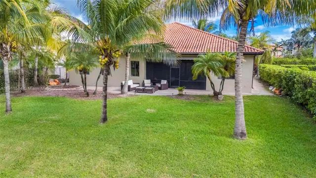 a view of a park with plants and palm trees