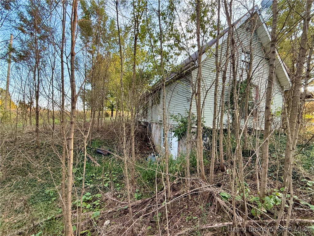 Gallery Image 6