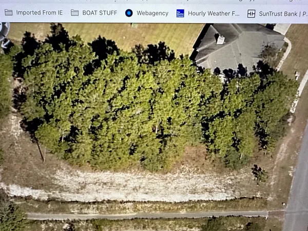 a view of a room with a tree