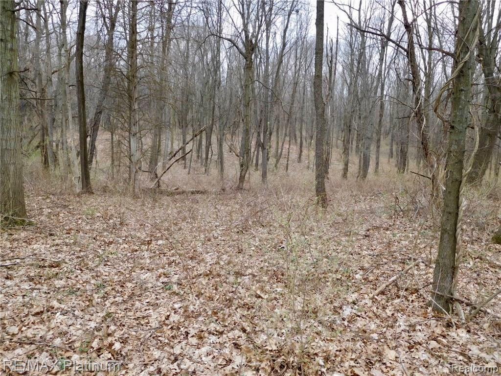 0 West Buno Road Milford, MI 48381 - Photo 5 of 28