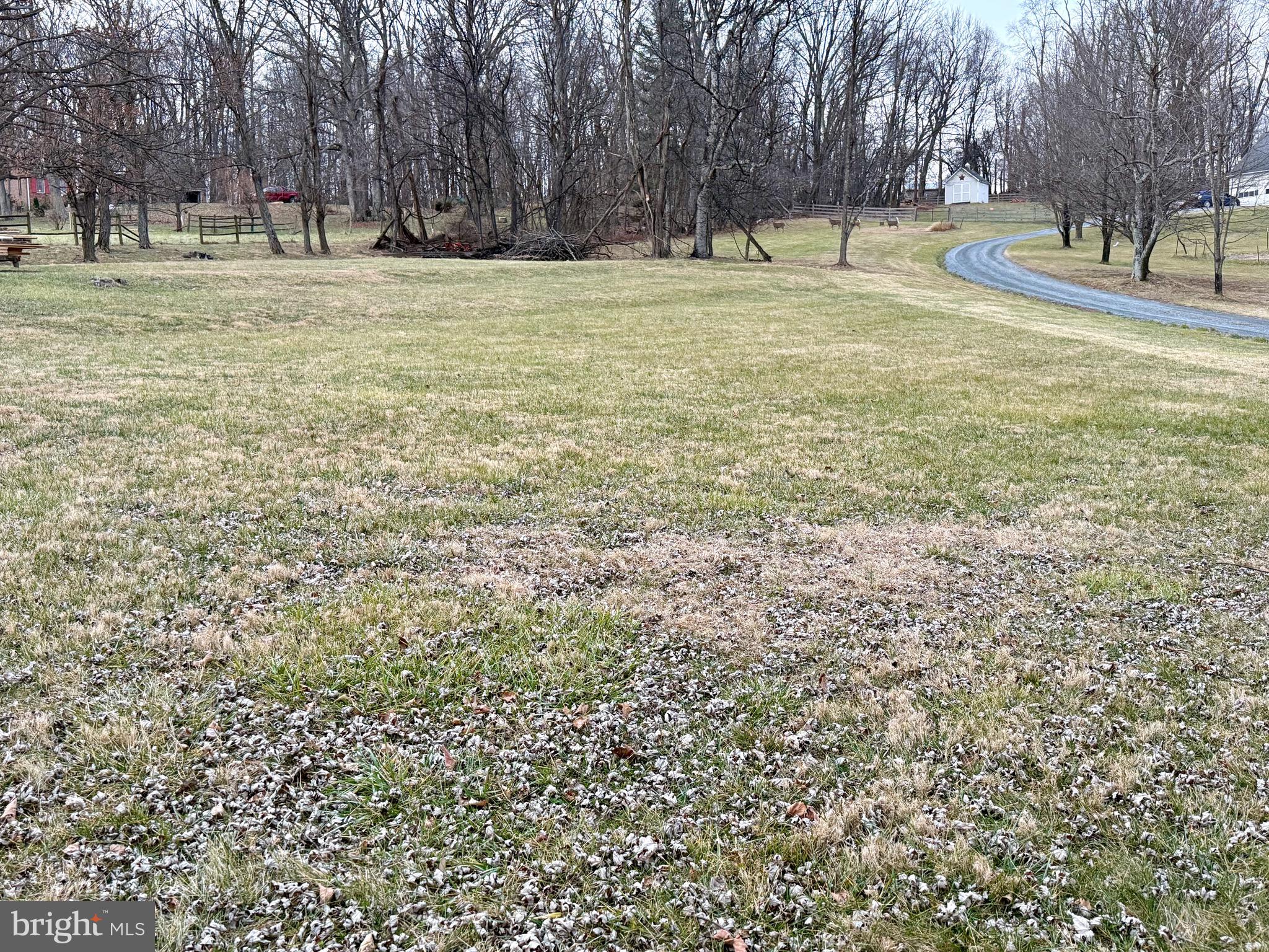 37611 Hughesville Road Purcellville, VA 20132 - Photo 15 of 37