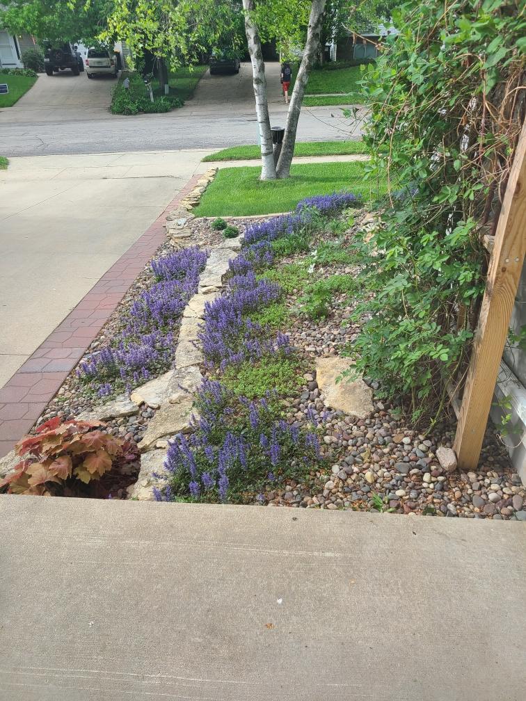 2424 60th Street Northwest Rochester, MN 55901 - Photo 40 of 40