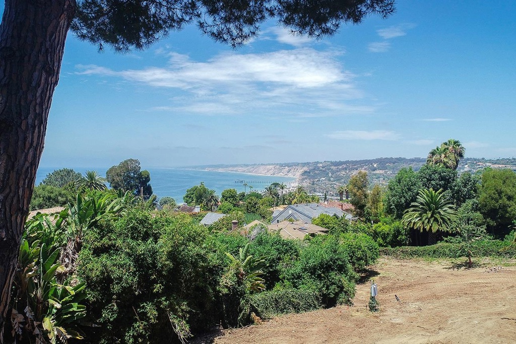 7687 Hillside Drive La Jolla, CA 92037 - Photo 4 of 16 a view of a bunch of trees and bushes