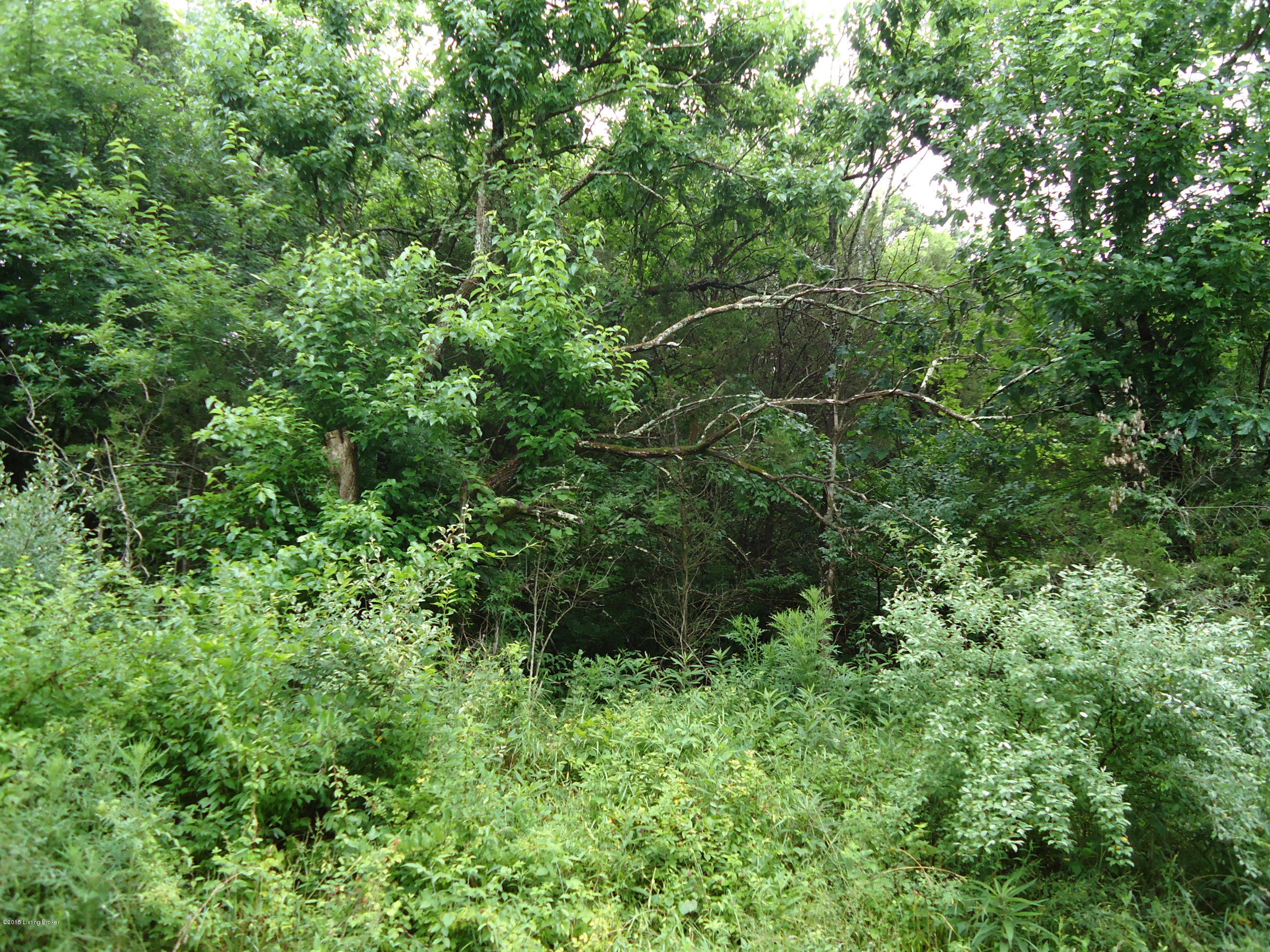 38 Fox Run Road Pendleton, KY 40055 - Photo 1 of 4 Most of the 5 acres is wooded. See aerial photo and plat from the PVA under documents