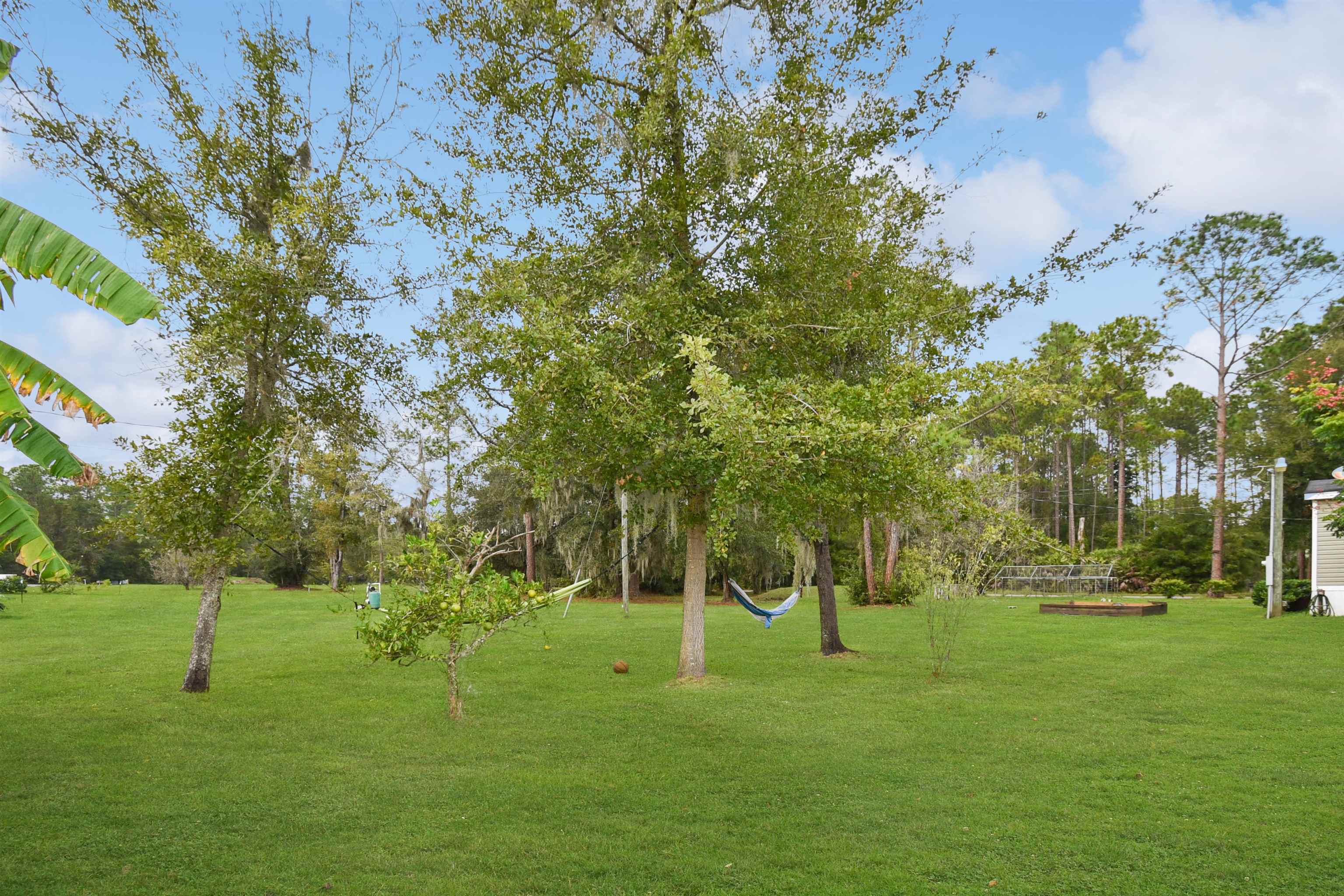 5215 Church Road St. Augustine, FL 32092 - Photo 58 of 63 Gallery Image 58