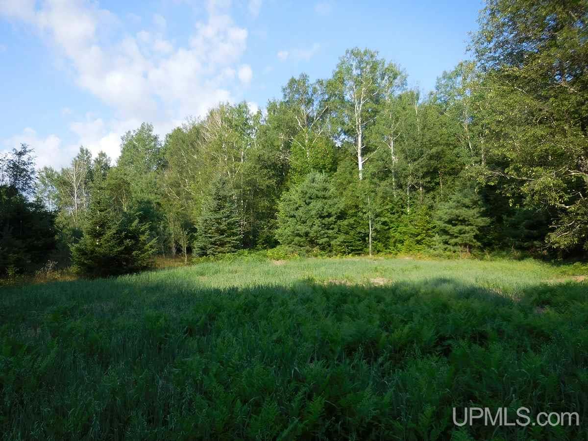 Tbd Tee Lake Road Germfask, MI 49836 - Photo 15 of 25