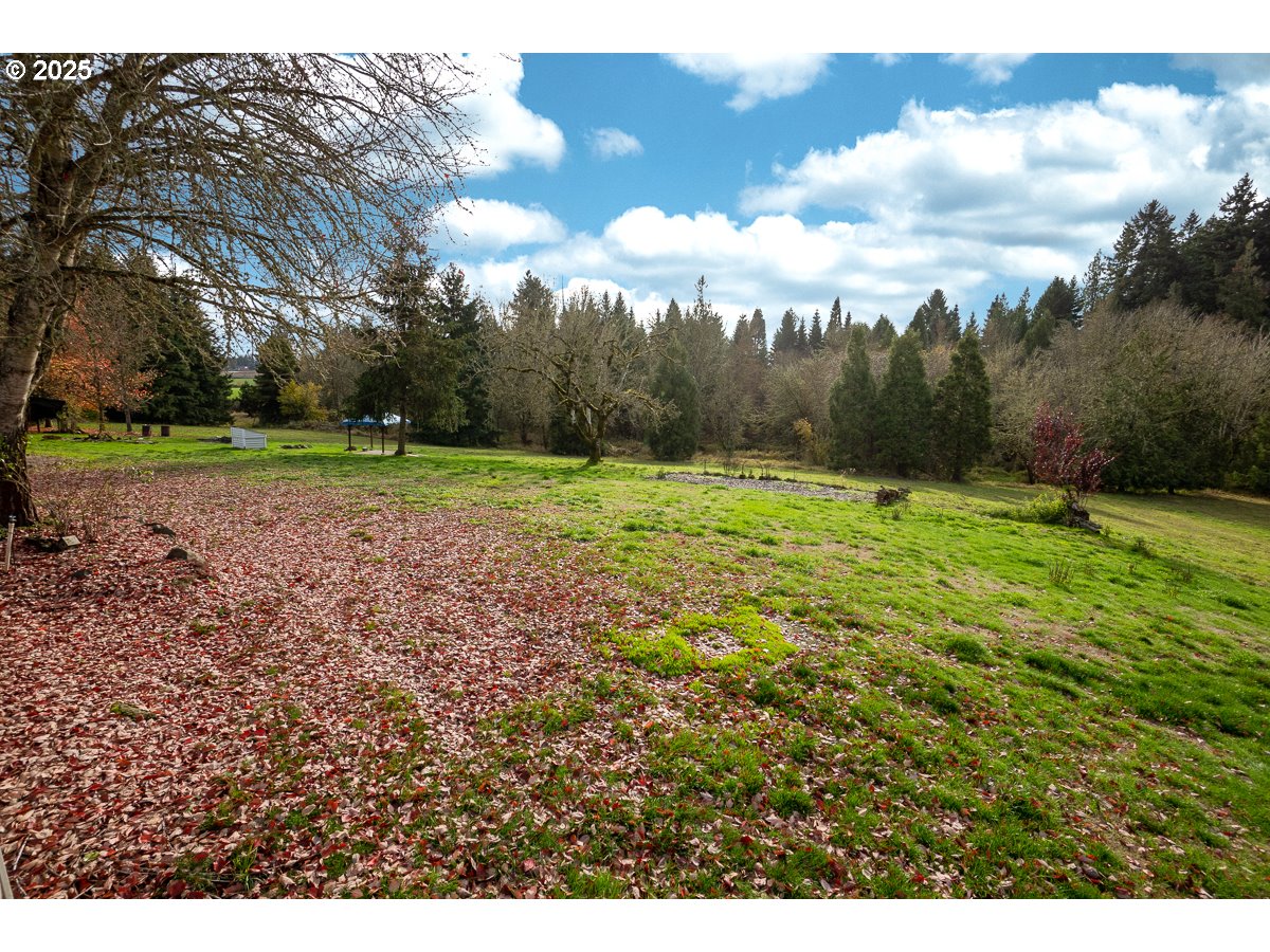 23990 Southwest Tile Flat Road Hillsboro, OR 97123 - Photo 29 of 46 a view of outdoor space with green space