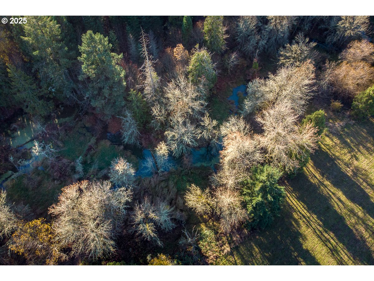 23990 Southwest Tile Flat Road Hillsboro, OR 97123 - Photo 44 of 46 a view of a lake with a tree