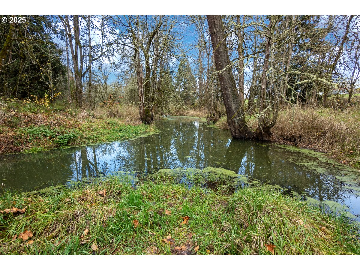 23990 Southwest Tile Flat Road Hillsboro, OR 97123 - Photo 45 of 46 a backyard of a house with lots of green space