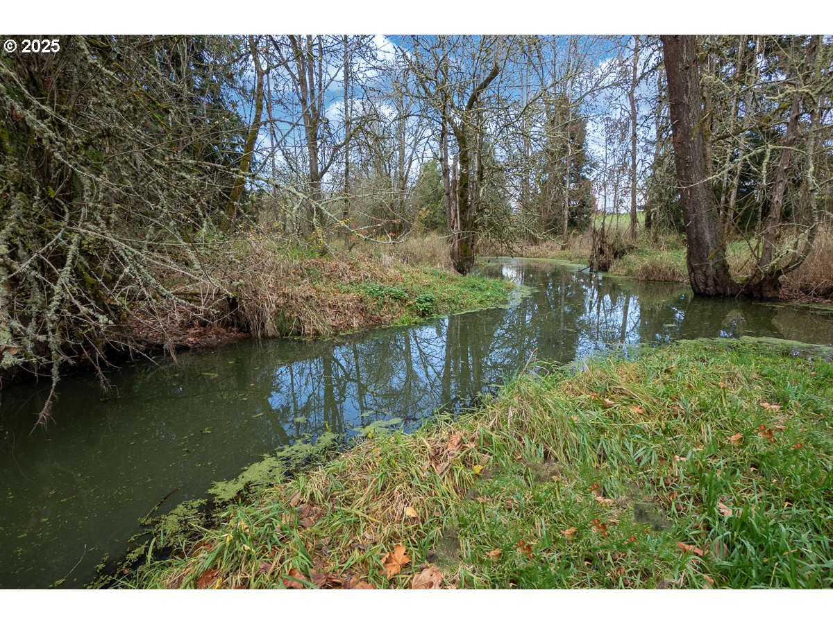 23990 Southwest Tile Flat Road Hillsboro, OR 97123 - Photo 46 of 46 a view of lake with green space