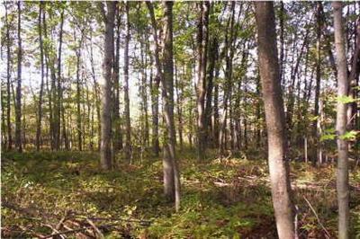 4609 East Bevens Road Deford, MI 48729 - Photo 1 of 1 Primary Photo