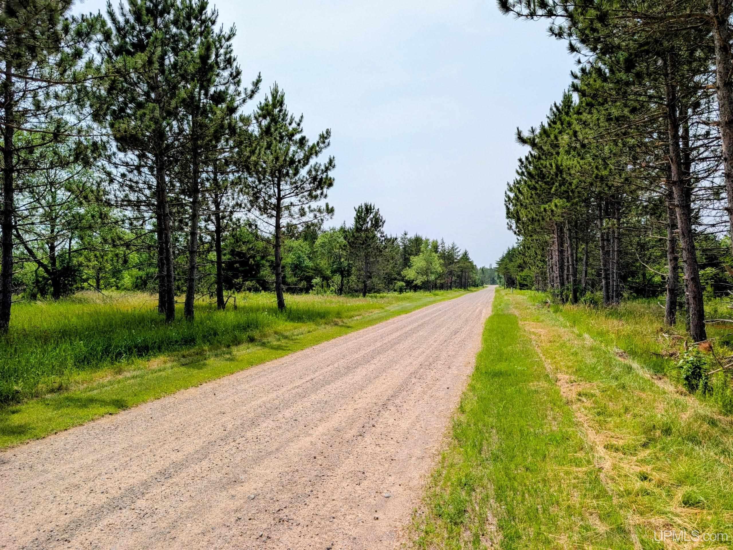 Tbd Pond Road Iron River, MI 49935 - Photo 10 of 26