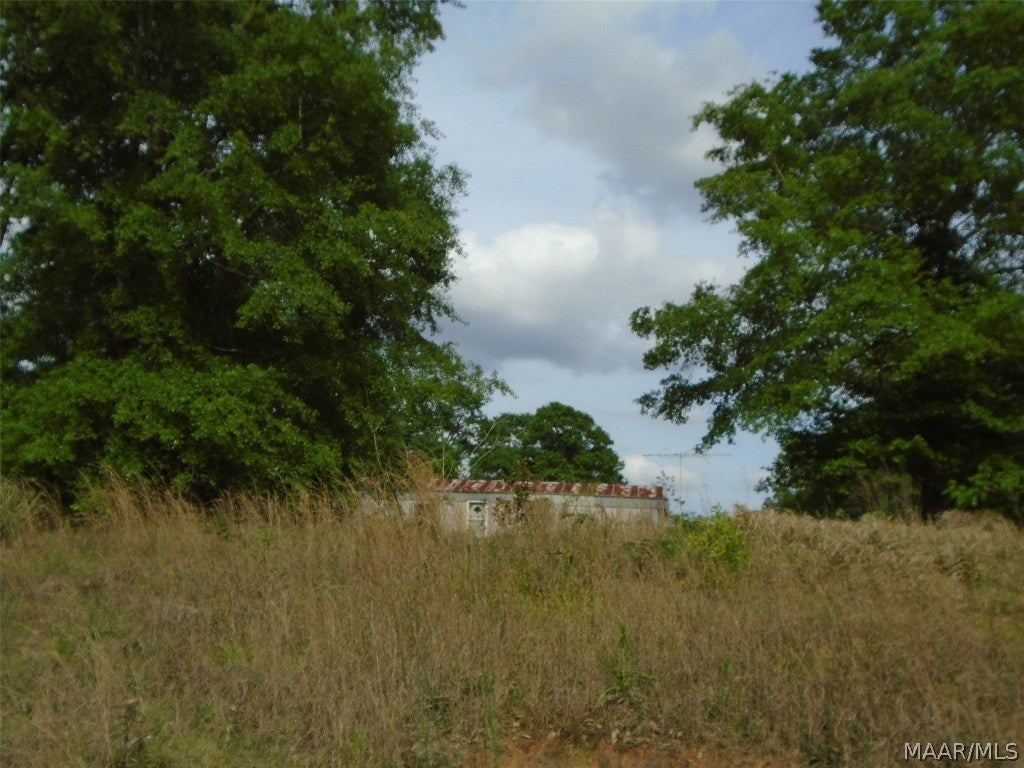 17960 Substation Road Opp, AL 36467 - Photo 1 of 1 Gallery Image 1