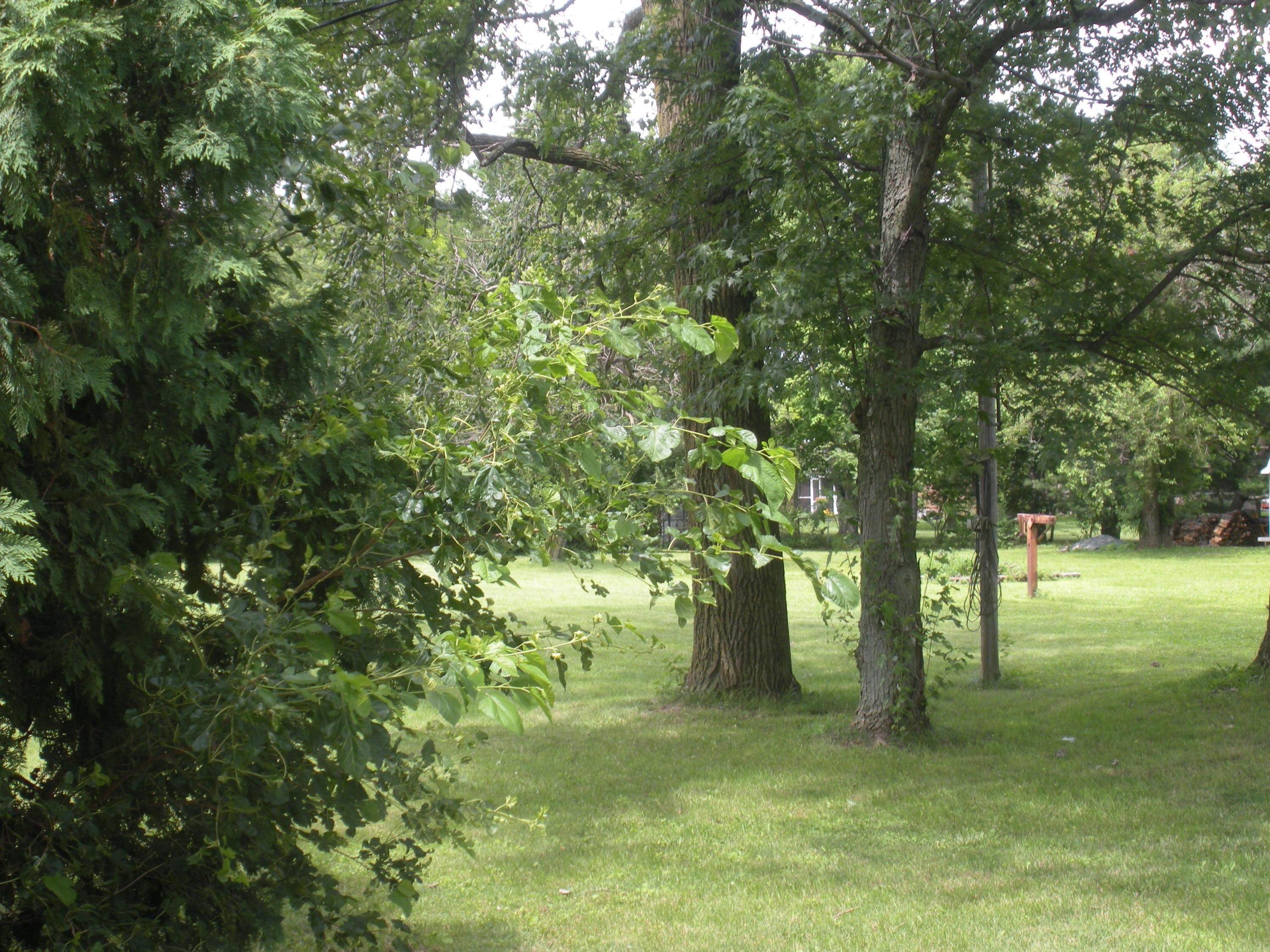 5428 Cosgray Road Dublin, OH 43016 - Photo 8 of 12 Gallery Image 8