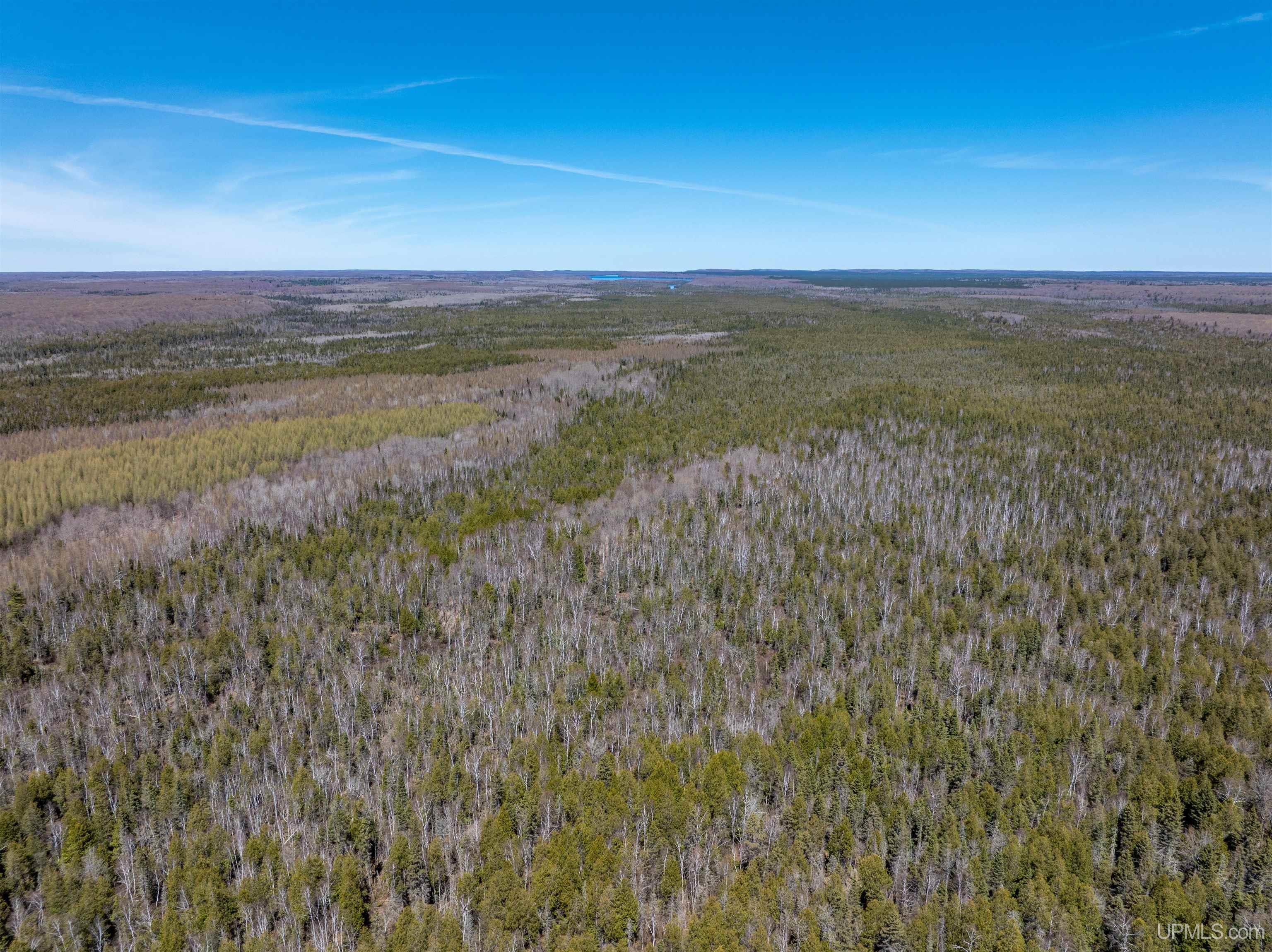 E4291 Walleye Road Chatham, MI 49816 - Photo 25 of 52