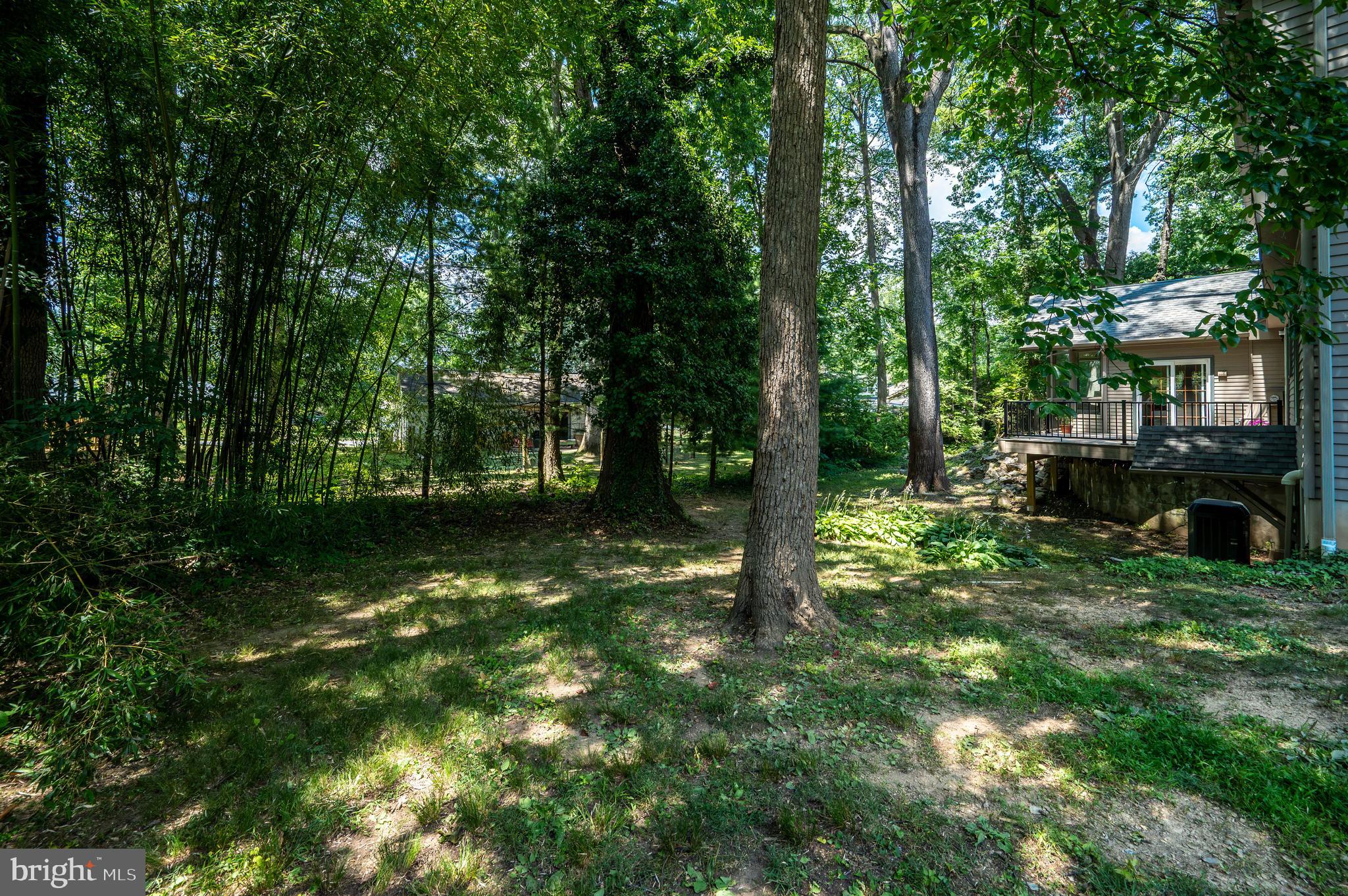 19 Birchwood Road Reading, PA 19610 - Photo 46 of 51