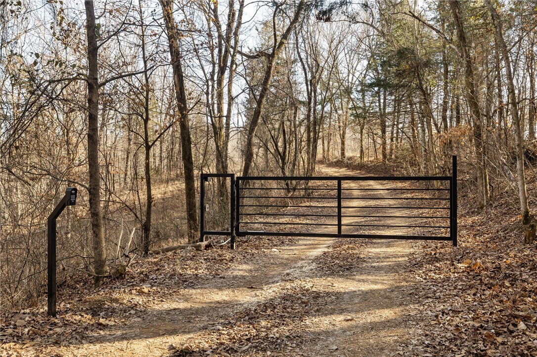 10557 North Devils Den Road Winslow, AR 72959 - Photo 55 of 60 View of gate