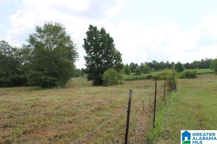 Bradford Road Lineville, AL 36266 - Photo 6 of 16