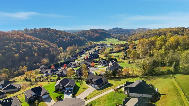 $784,400 | 1691 Prospects Way, Gray, TN 37615