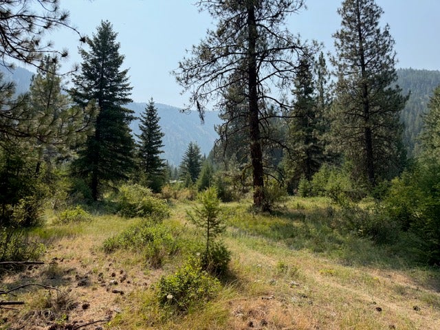 37 Big Horn Road Superior, MT 59872 - Photo 45 of 56 Gallery Image 45