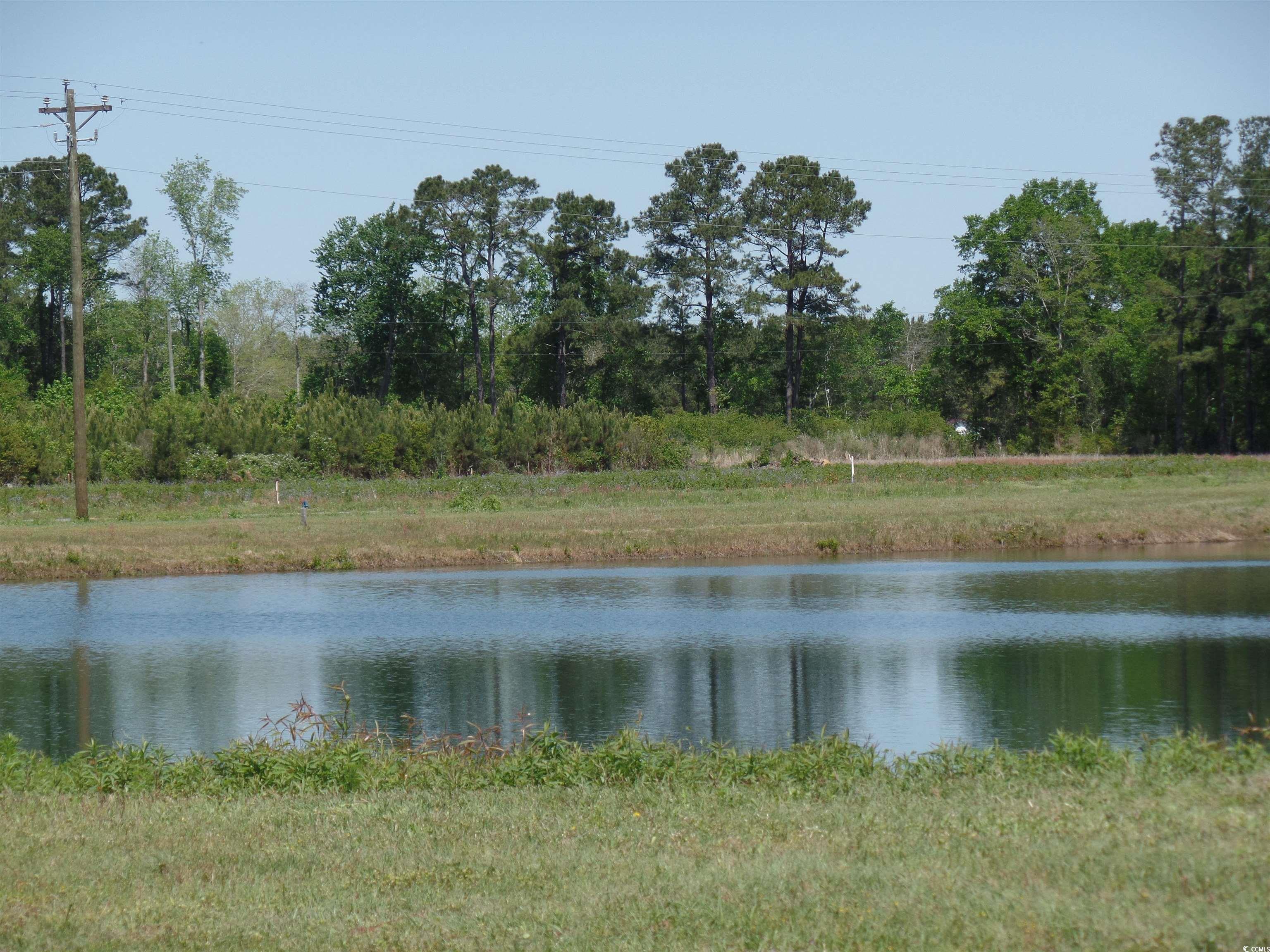 1717 Heritage Road Loris, SC 29569 - Photo 20 of 36